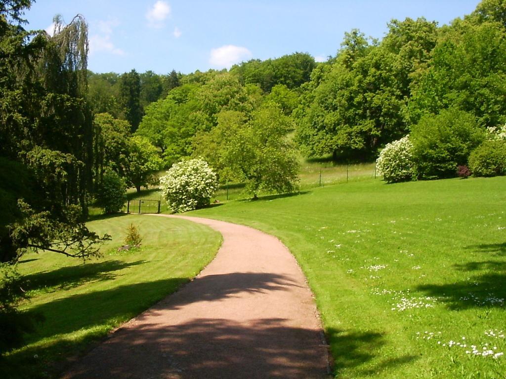 Lovely Holiday Home In The Thuringian Forest With Roof Terrace And Great View Bad Liebenstein Bagian luar foto