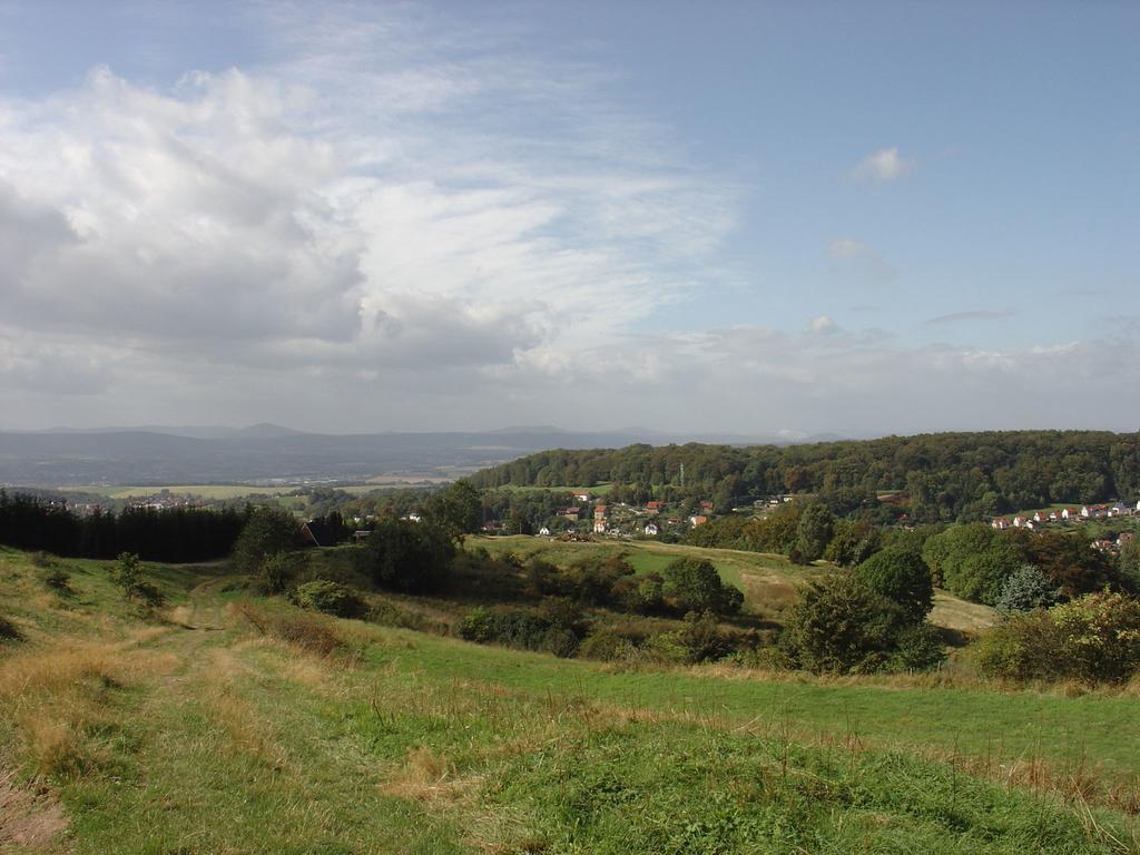 Lovely Holiday Home In The Thuringian Forest With Roof Terrace And Great View Bad Liebenstein Bagian luar foto